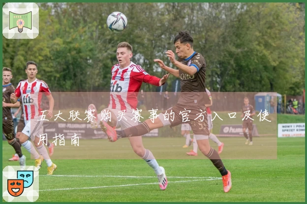 五大联赛购买赛事的官方入口及使用指南